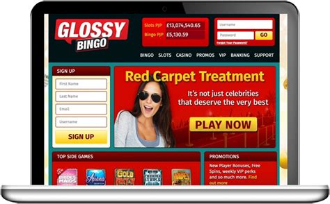 Glossy bingo casino Belize